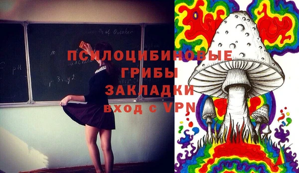 кокс Алексин