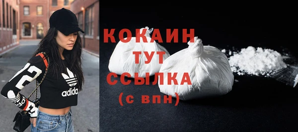 кокс Алексин