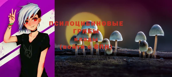 ешки Алексеевка