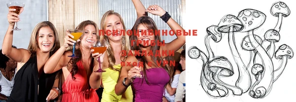 кокс Алексин