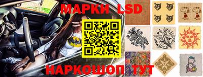 стаф Заводоуковск