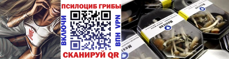 Галлюциногенные грибы ЛСД  где купить   Елабуга 