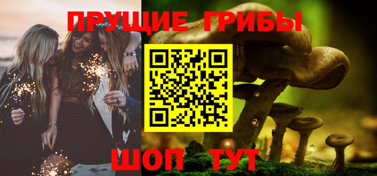 Галлюциногенные грибы MAGIC MUSHROOMS  Вход с VPN  Псилоцибиновые грибы мухоморы  Елабуга 